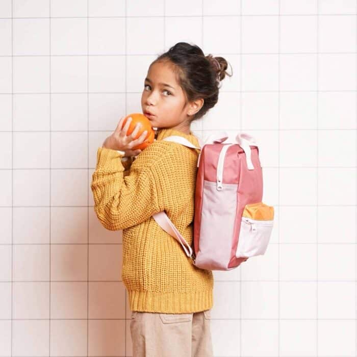 Rugzak Colorblock – Vintage Pink - Afbeelding 4